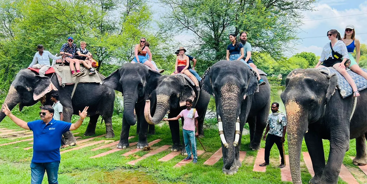 elephant-village-jaipur