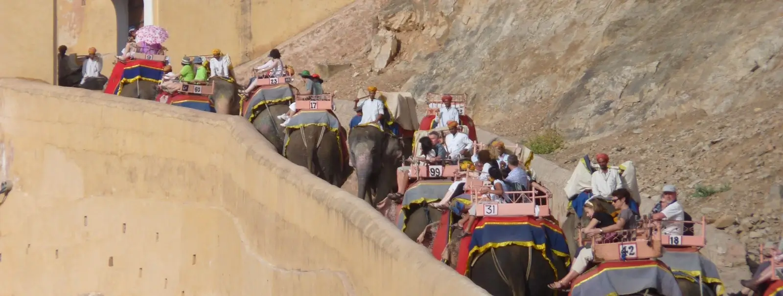 Walk with Elephants in Jaipur – A Unique Adventure for UK Tourists