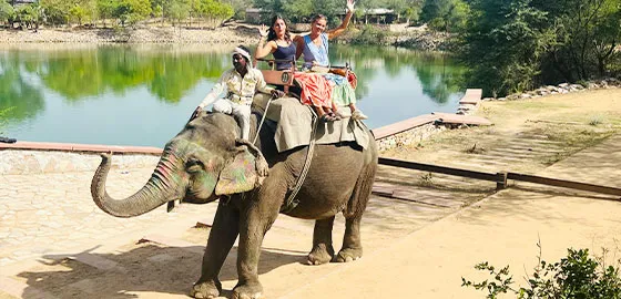 elephant-ride-in-jaipur