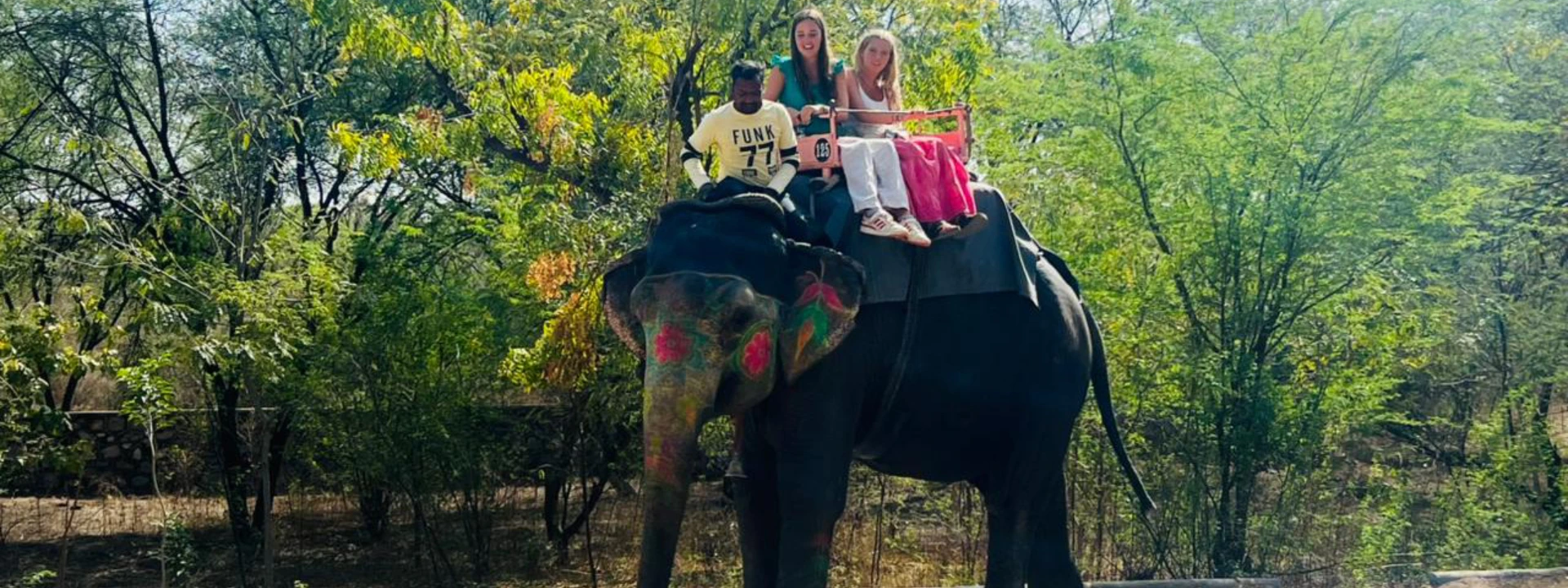 Experience Elephant Activities in Jaipur | Elefriendride