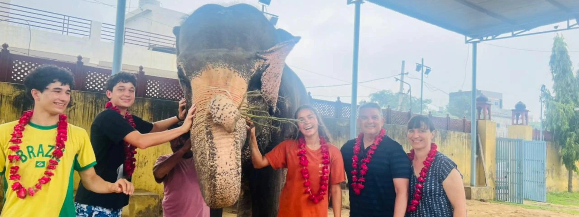 Discover Elephant Adventures in Jaipur with Elefriendride