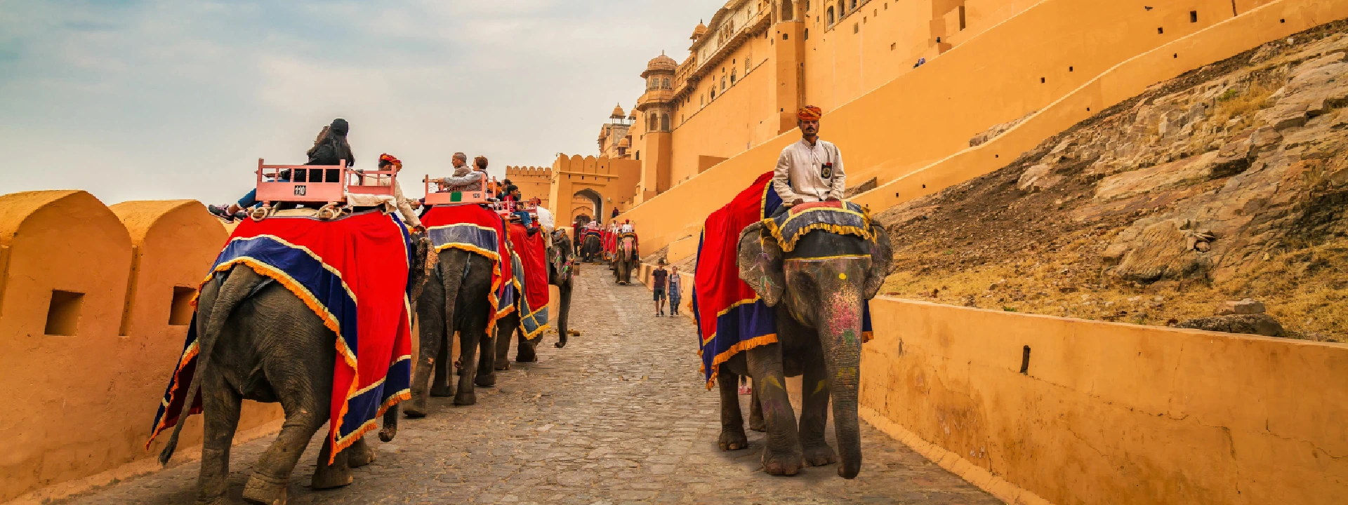 Embark on an Unforgettable Elephant Ride in Jaipur, India | Elefriendride