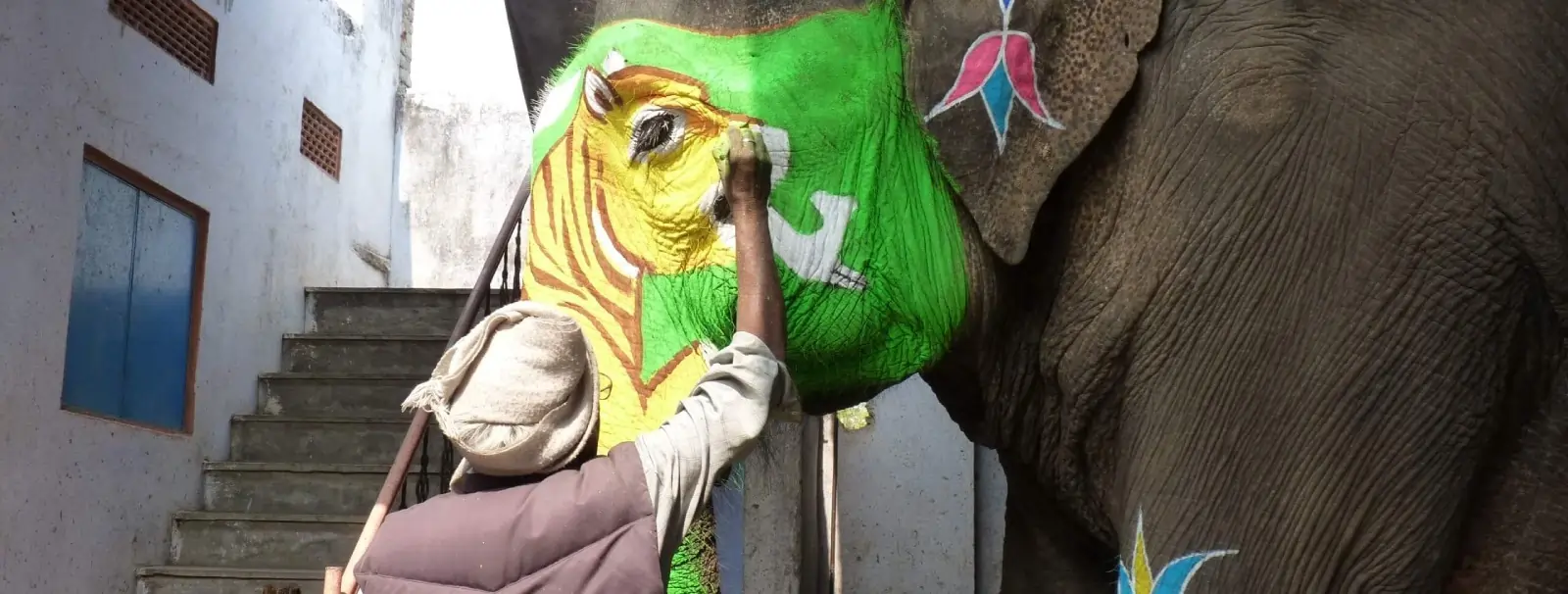 Elephant Ride Jaipur: A Unique Way to Experience Amber Fort’s Grandeur