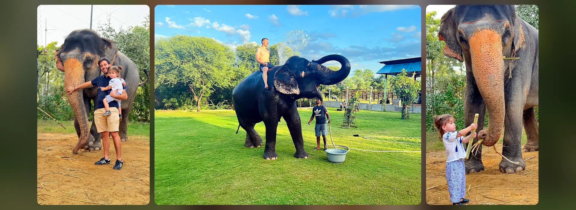 elephant ride with kids