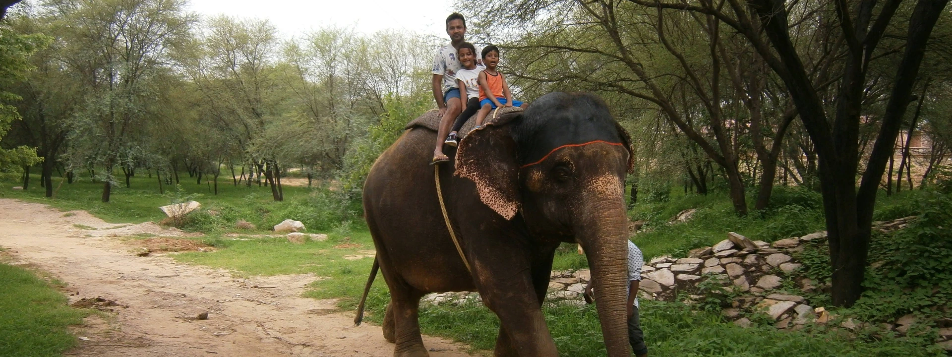 Embark on an Unforgettable Elephant Ride in Jaipur, India | Elefriendride