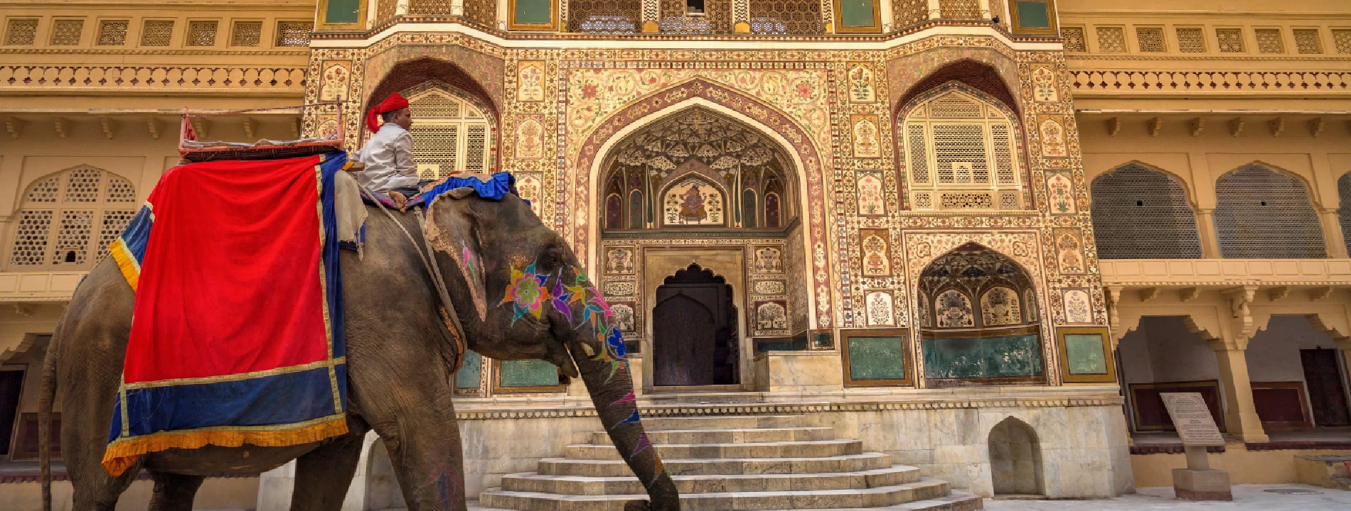 Experience Jaipur’s Heritage through Elephant Riding Tours