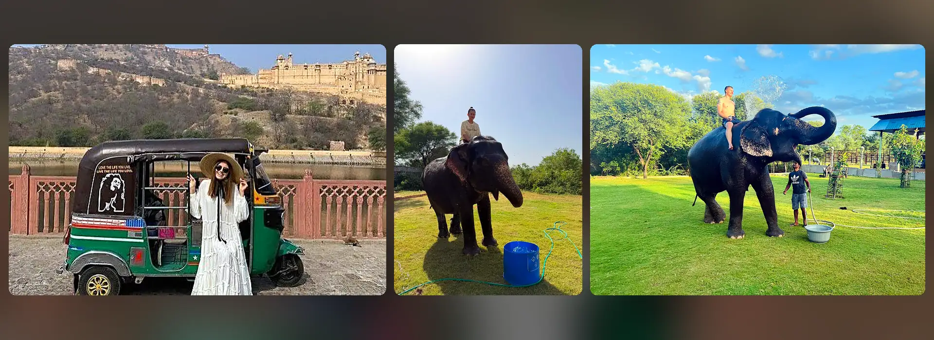 elephant safari vs elephant ride