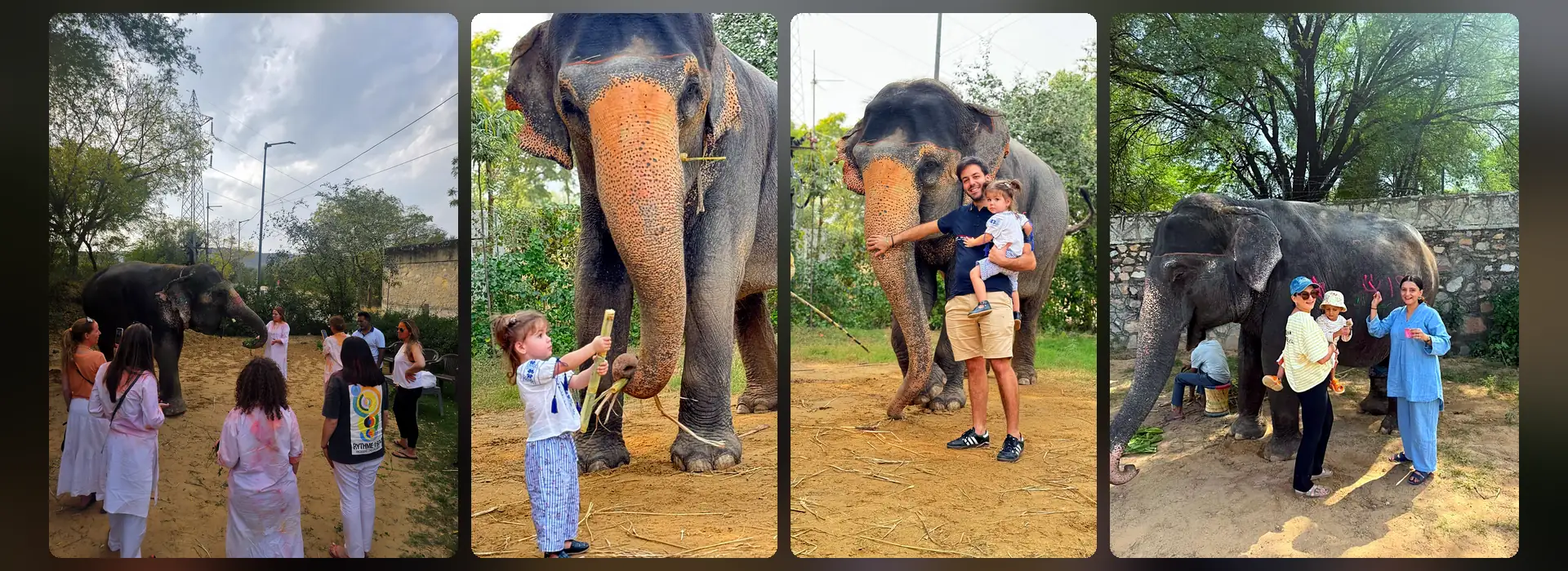 best time to visit jaipur