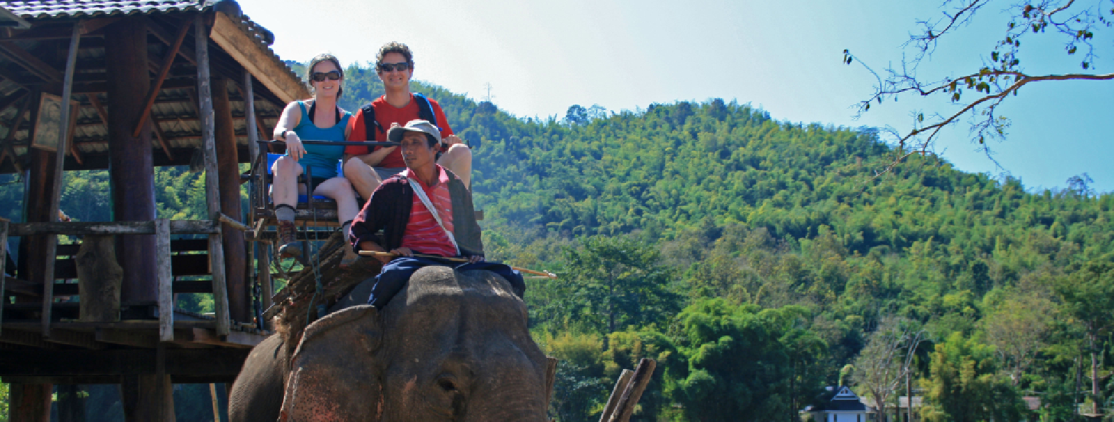 Unforgettable Stays with Elephants in a Natural Habitat