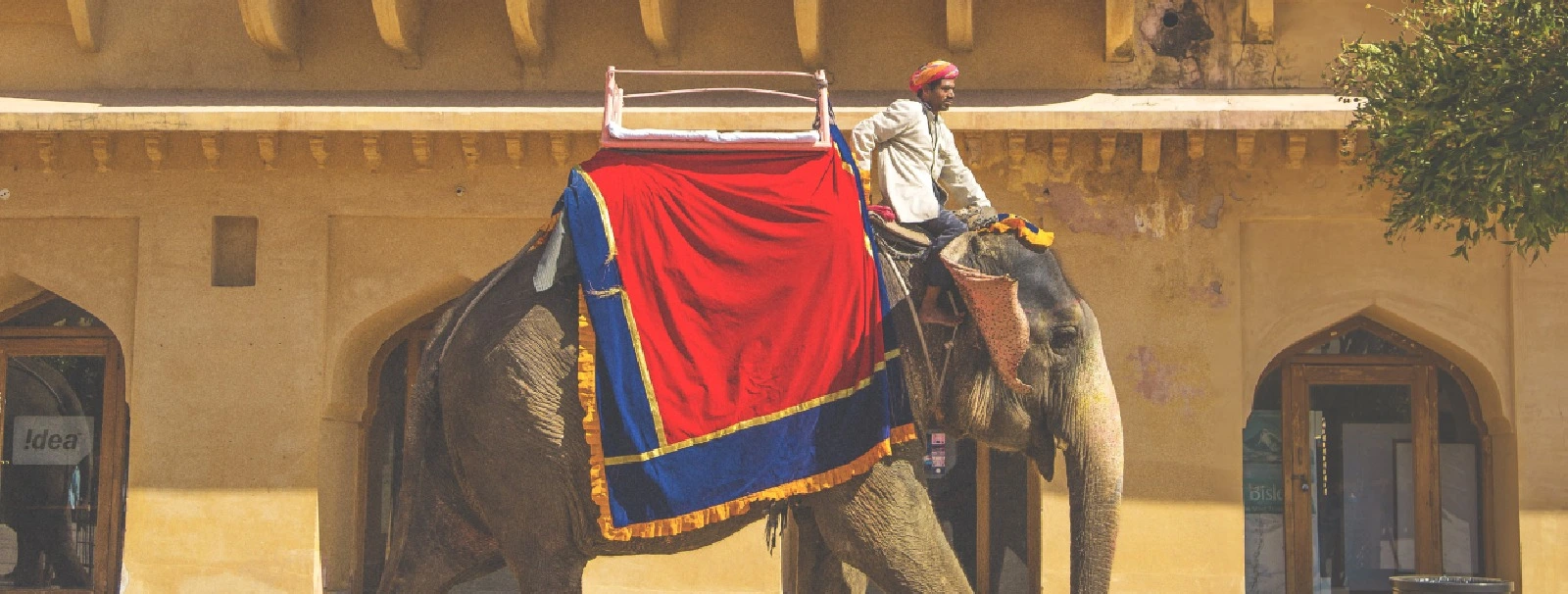 Elephant Safari in Jaipur: A Grand Adventure Awaits with Elefriendride