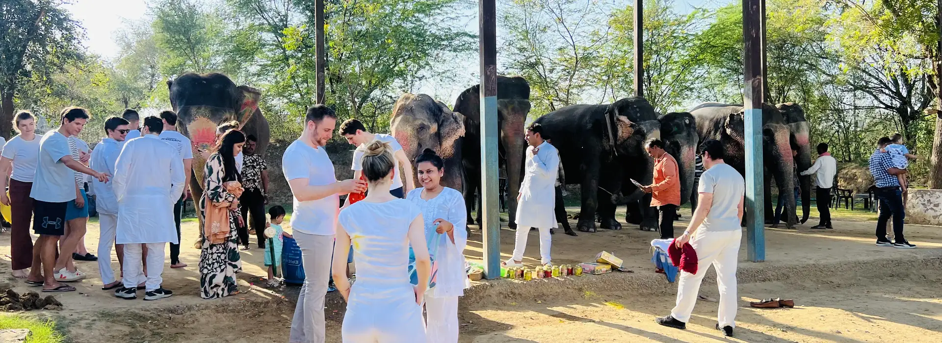 how to choose an elephant sanctuary
