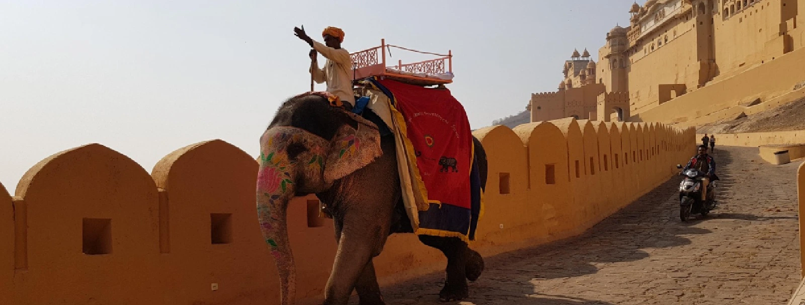 Uncover Jaipur's Royal Elegance: Elephant Rides, Stunning Palaces & Guided Day Tours