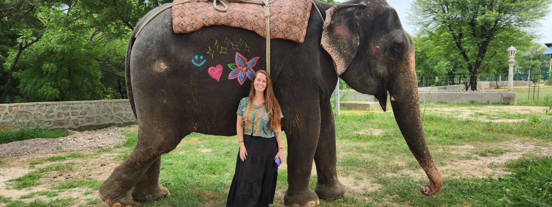 Experience Majestic Elephant Rides in Jaipur with Elefriendride