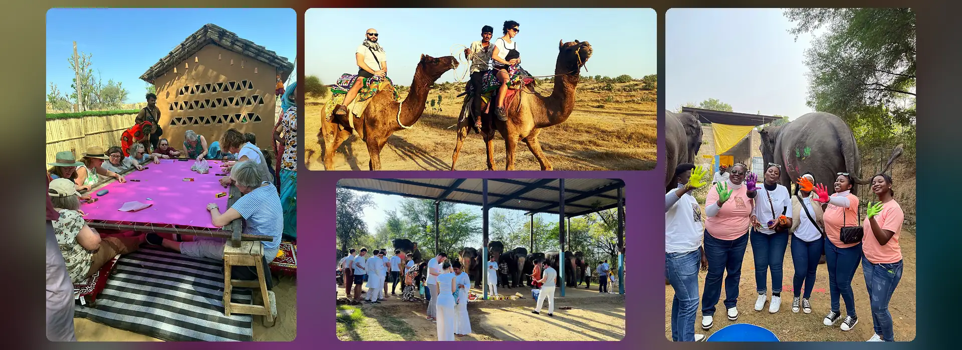 rajasthan festivals in november