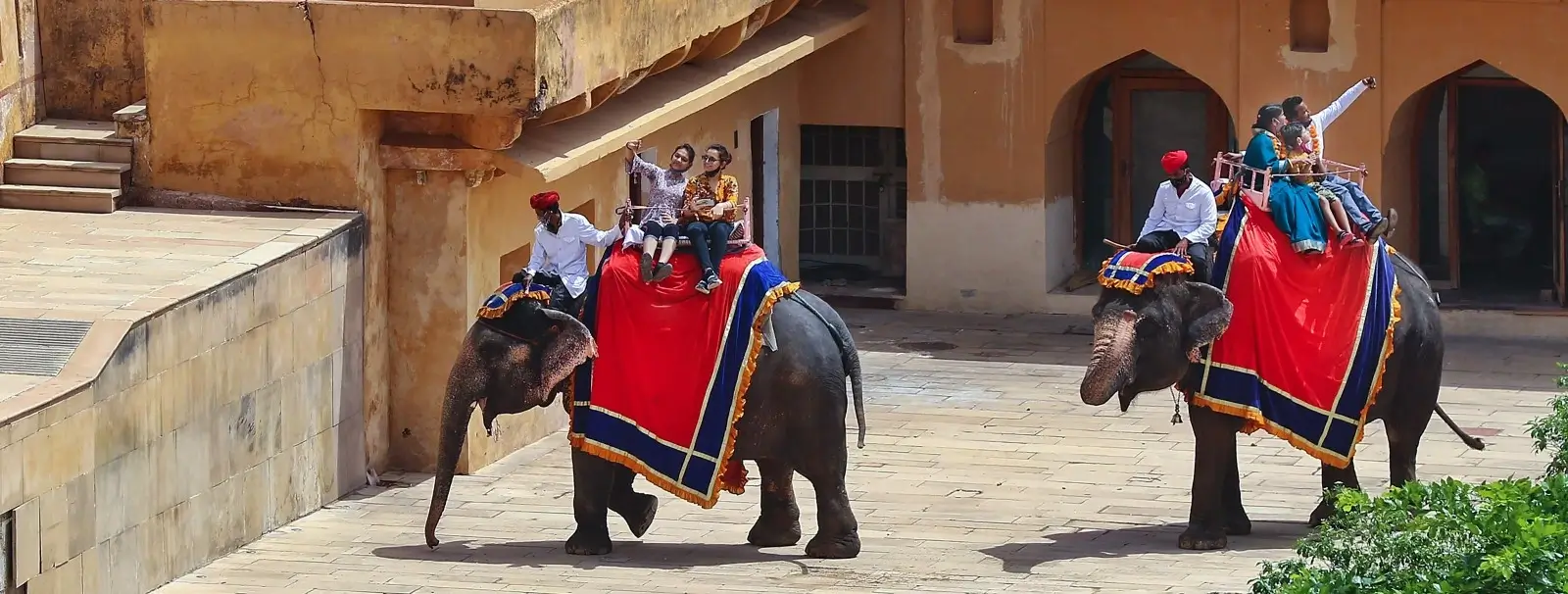 UK Tourists to Stay with Elephants in Jaipur